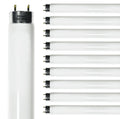 24 Inch T8 Fluorescent Tube Light Bulb 17W 4100K Cool White 2800 Lumen G13 Bi-Pin Base Pack of 10 P5475