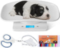 Digital Pet Scale W80227