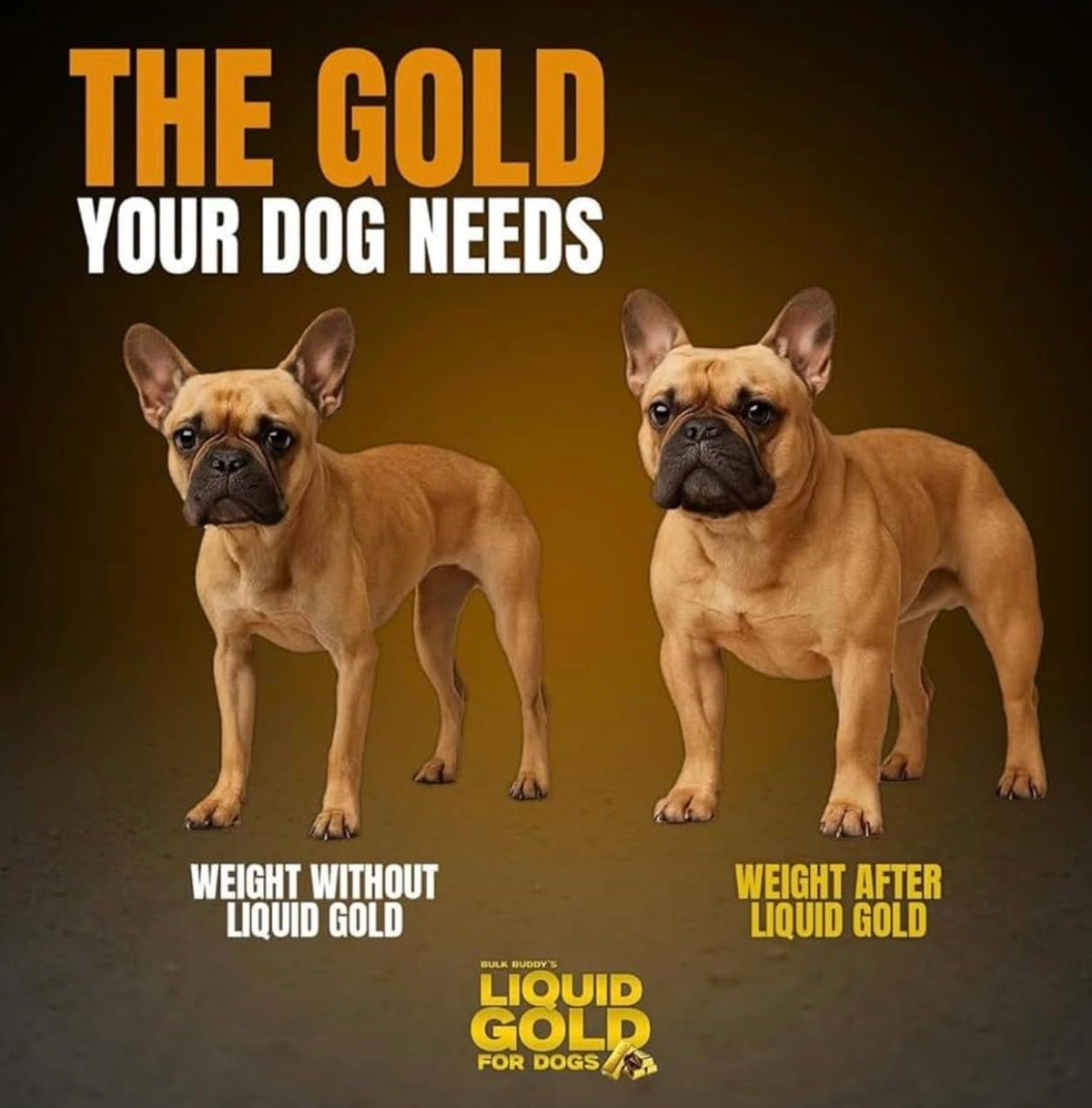 Dog Weight Gainer High-Calorie Nutritional Supplement 1GAL U8450