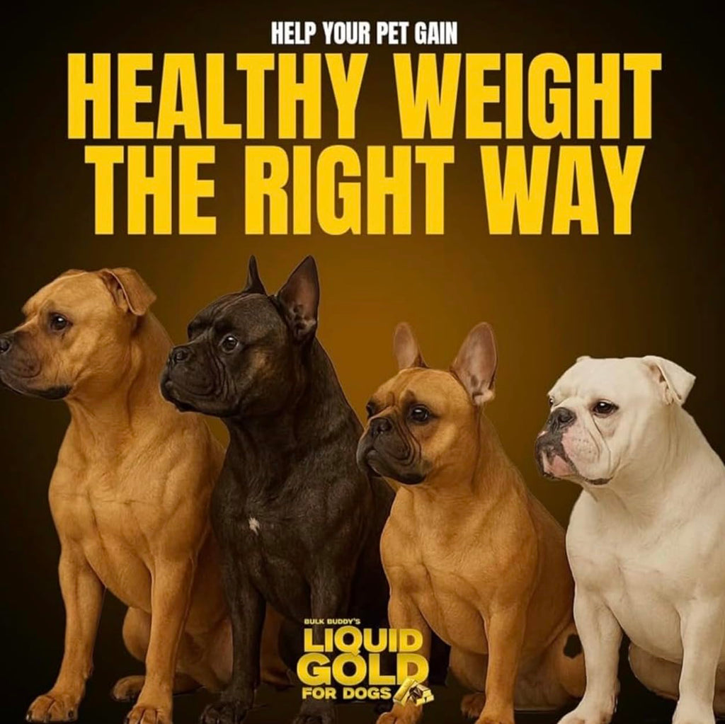 Dog Weight Gainer High-Calorie Nutritional Supplement 1GAL U8450