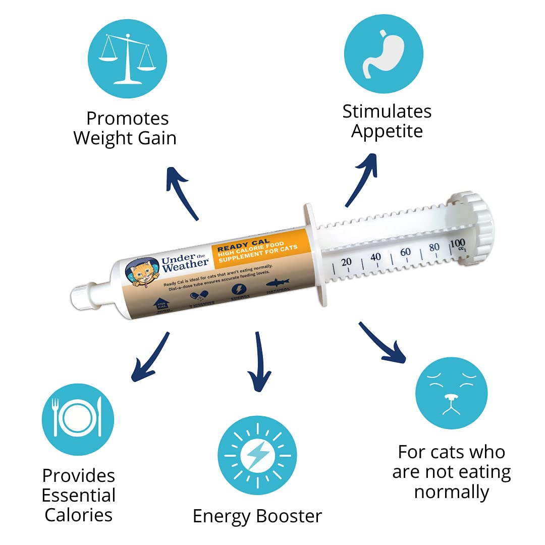 High Calorie Cat Supplement with Vitamins Minerals Omega Fatty Acids G961
