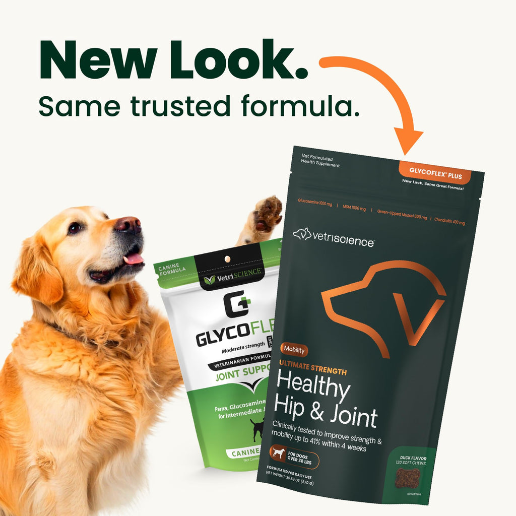 Chicken Hip & Joint Chews for Dogs, 120 Count J884627