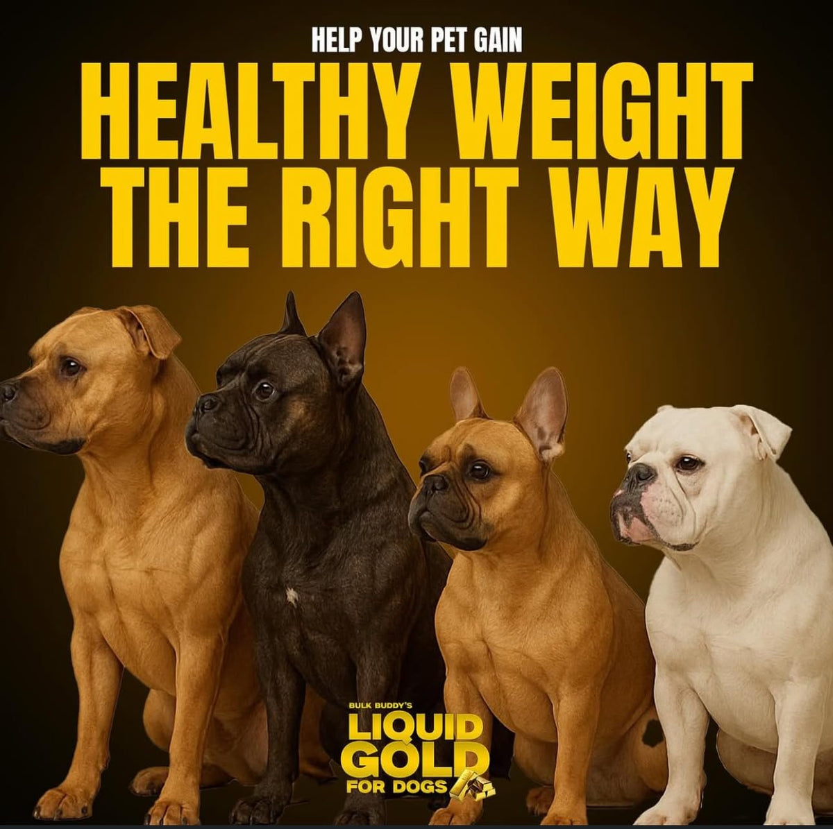 Dog Weight Gainer High-Calorie Nutritional Supplement 1GAL U8450
