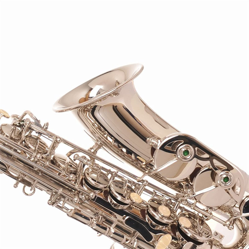 Alto Saxophone EB Flat Nickel Silver Brass Set S1687