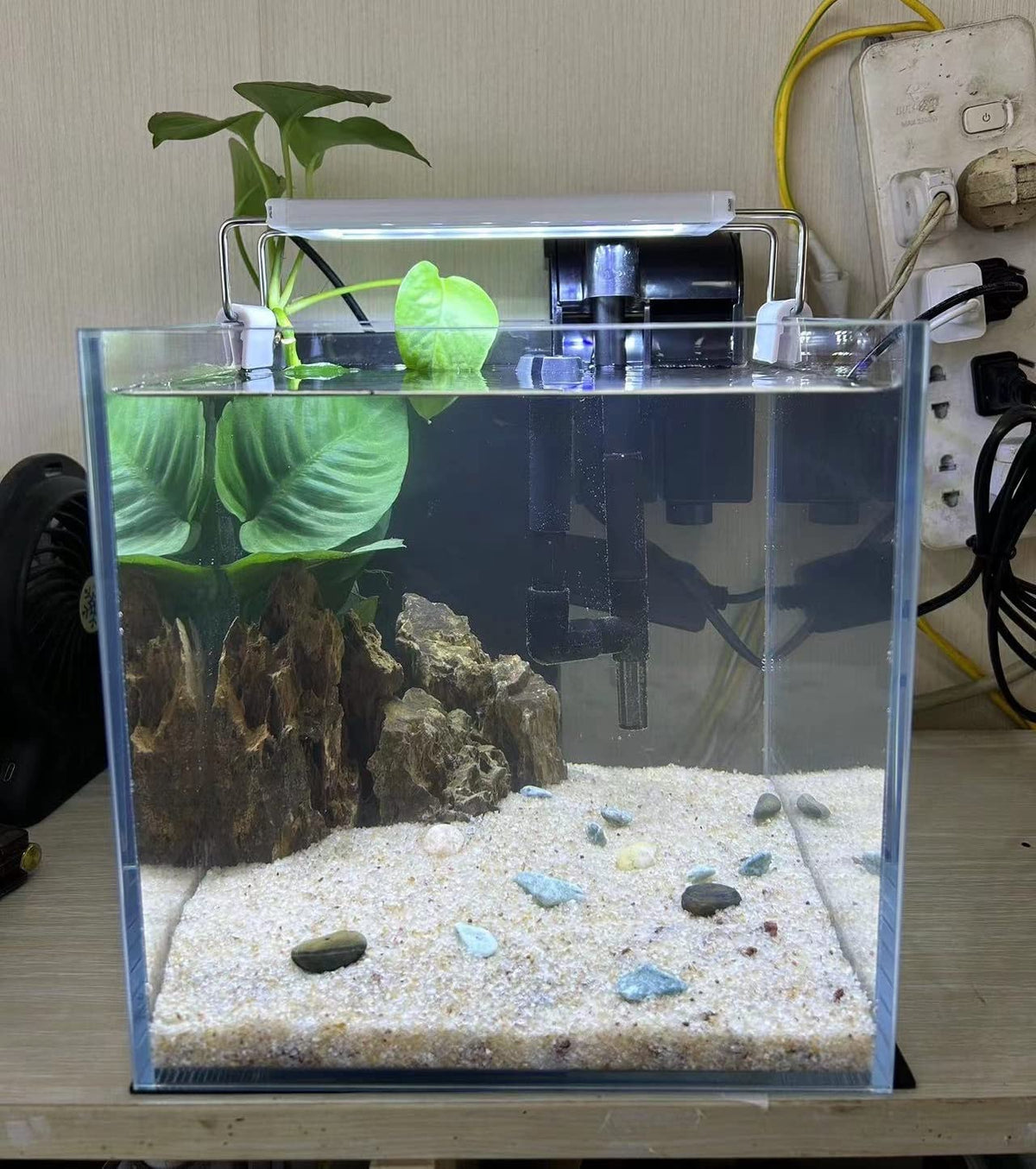 Small Nano Tall Rimless Glass Fish Tank 2 Gallon K710