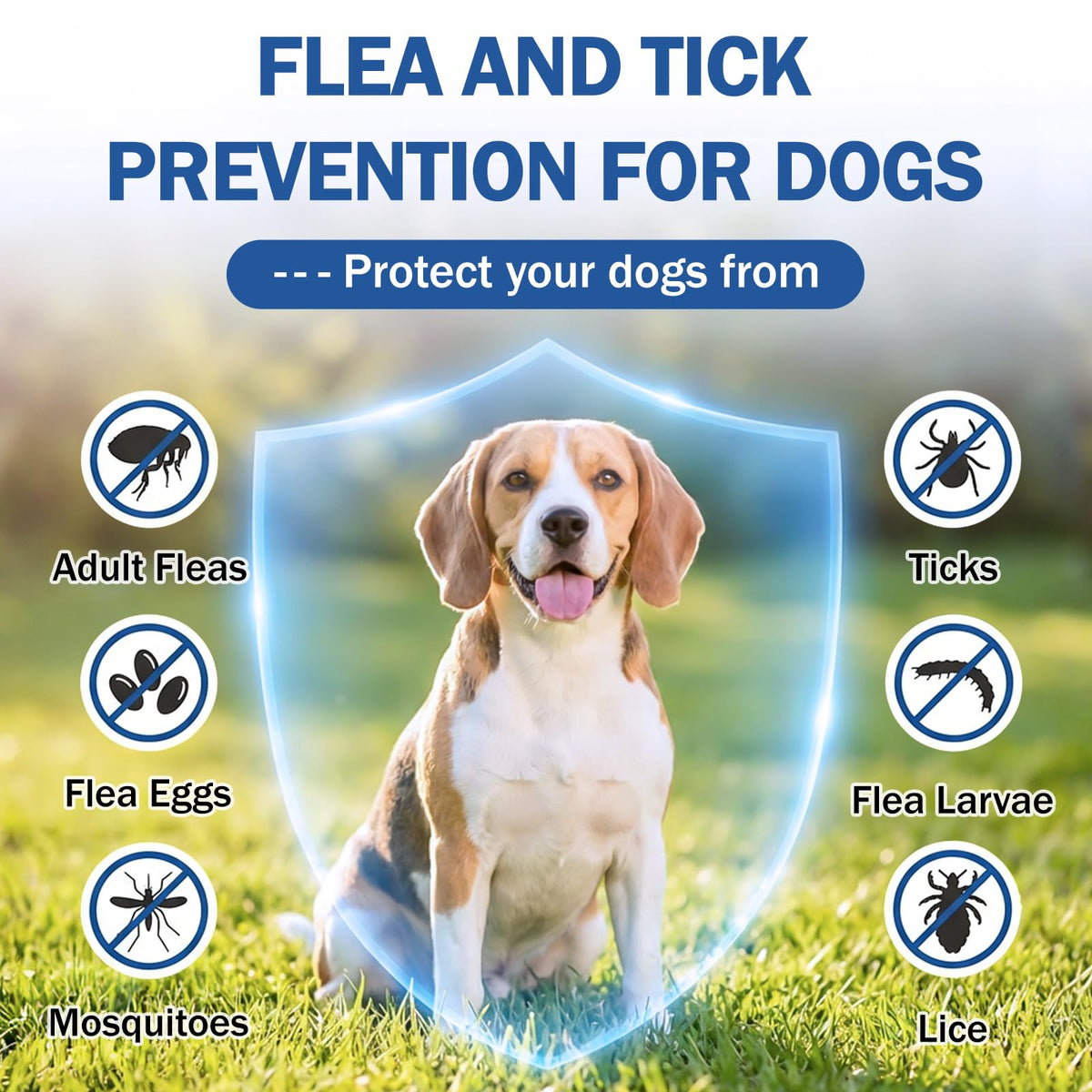Flea and Tick Prevention for Small and Medium Dogs W582205