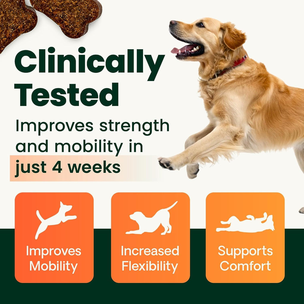 Chicken Hip & Joint Chews for Dogs, 120 Count J884627
