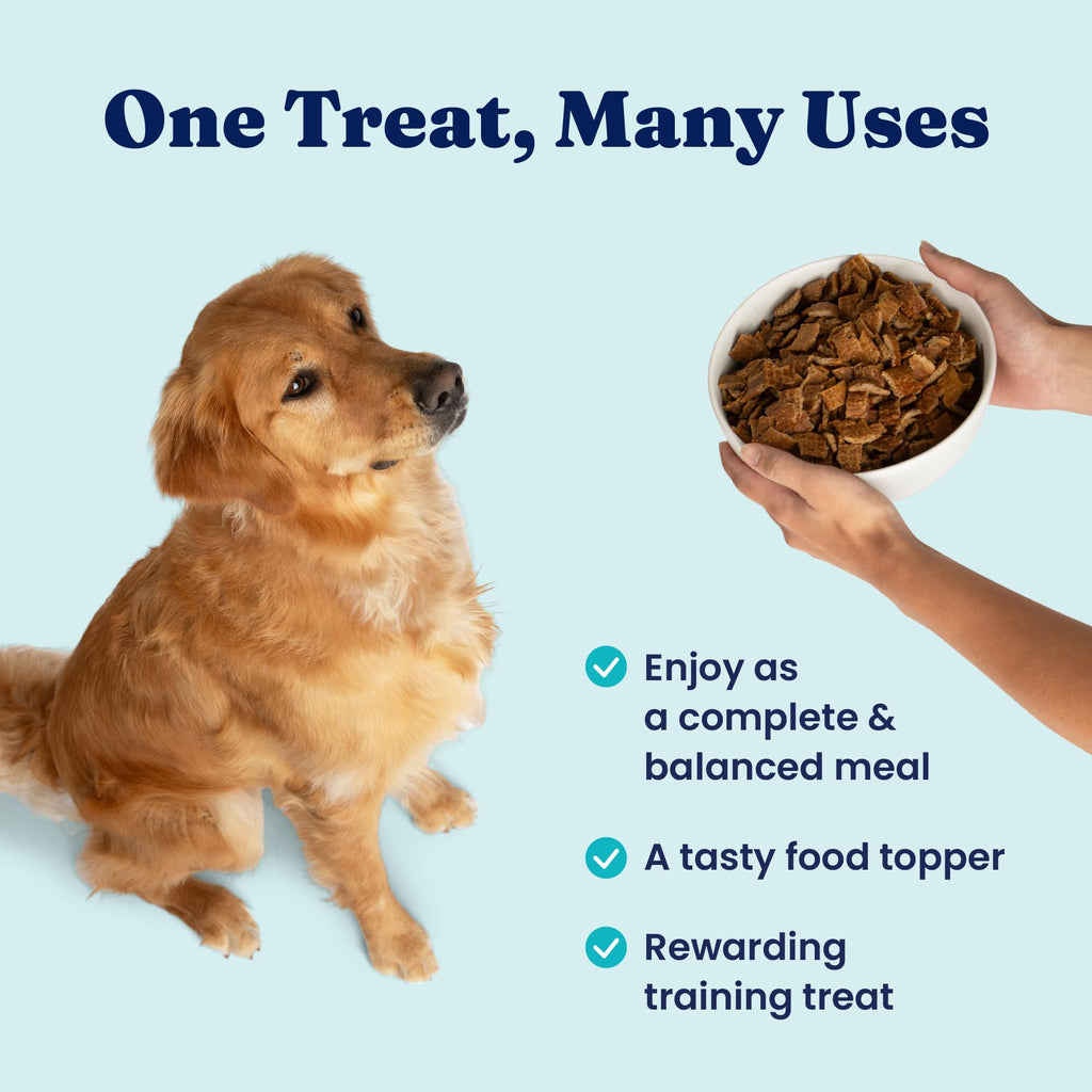 Air Dried Dog Food Topper & Treats Beef 1lb Y2787