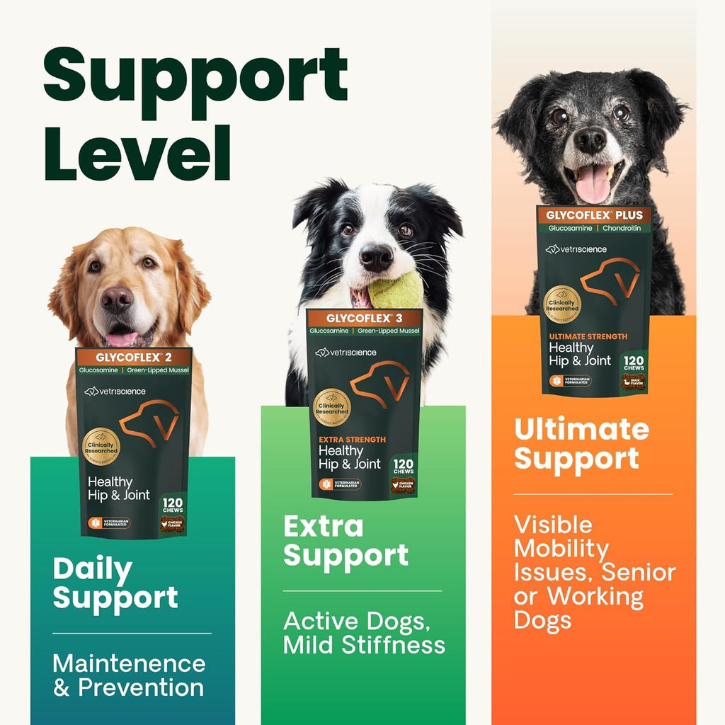 Chicken Hip & Joint Chews for Dogs, 120 Count J884627