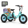 16 Inch Electric Tricycle K94039