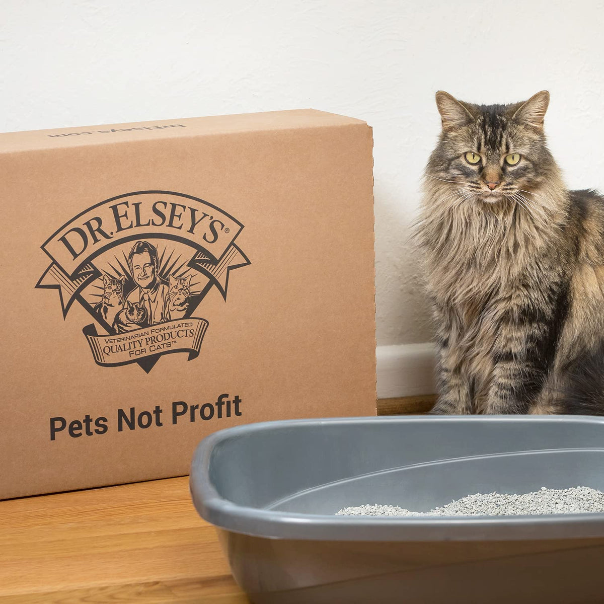 Clumping Clay Cat Litter 18 lb. Bag N3719