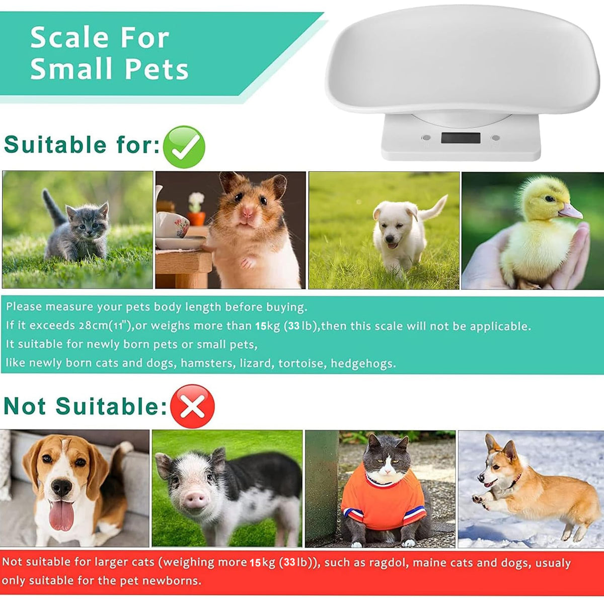 Digital Pet Scale W80227
