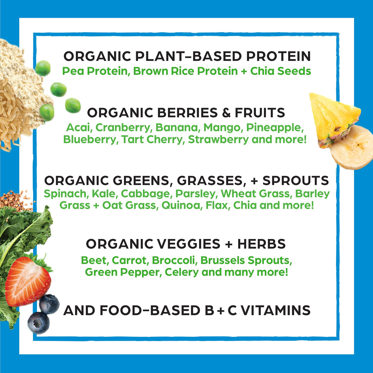Organic Vegan Protein Powder + Superfoods Powder Bundle N91315
