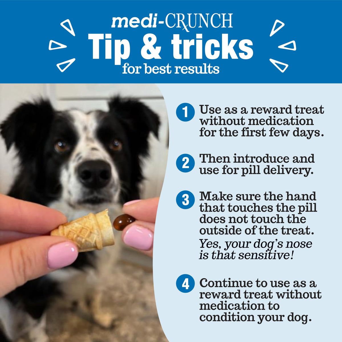 Peanut Butter Dog Pill Treats 30 Count A638