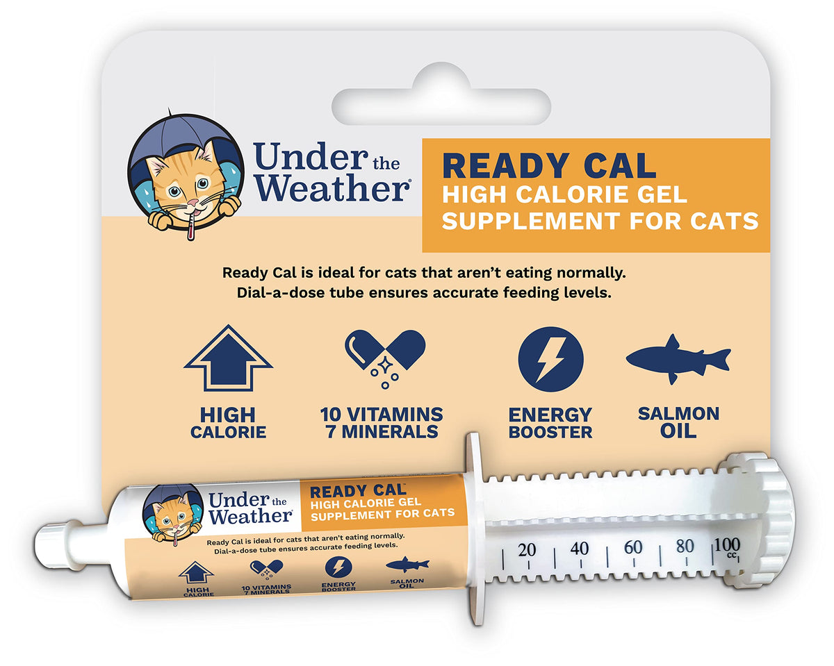 High Calorie Cat Supplement with Vitamins Minerals Omega Fatty Acids G961
