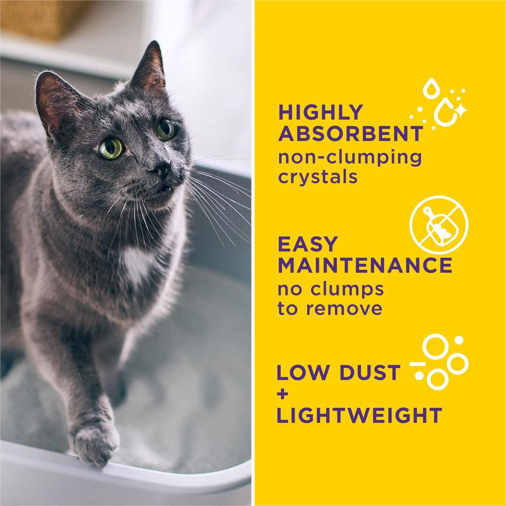 Health Monitoring Litter, 8 lb B2369