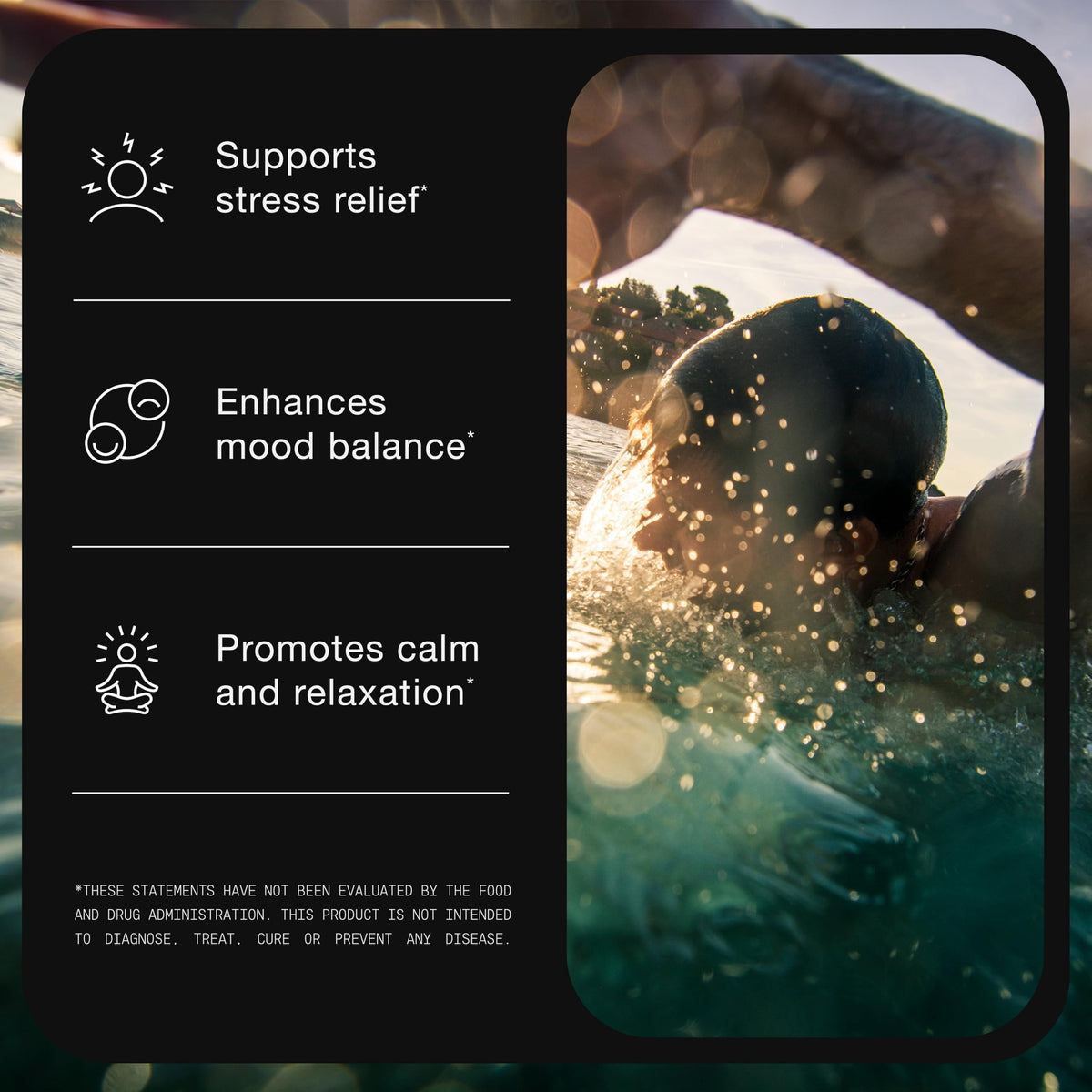 Ashwagandha 40:1 Extract with 25% Withanolides A460