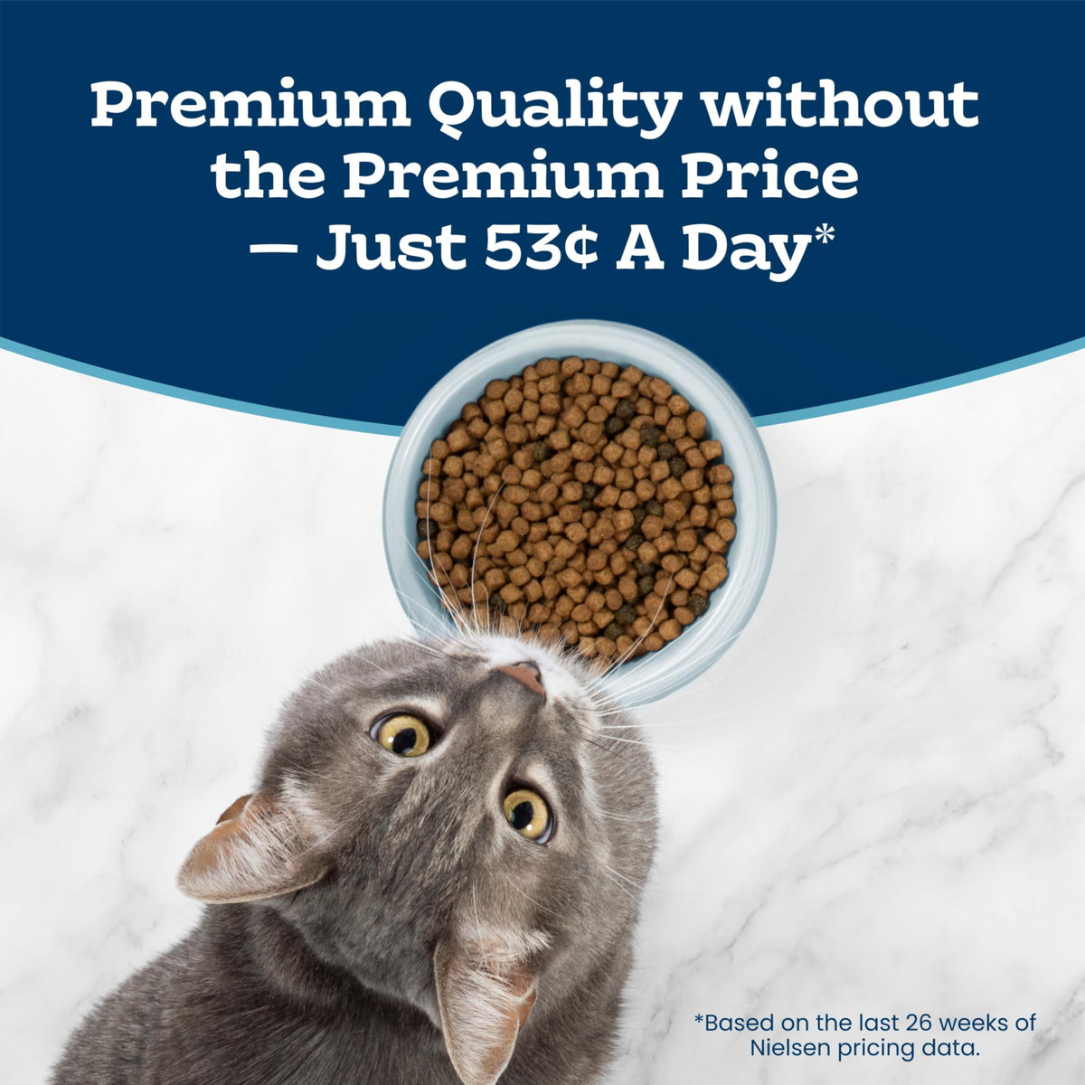 Chicken Sensitive Stomach Dry Cat Food, 3 lb Y43731
