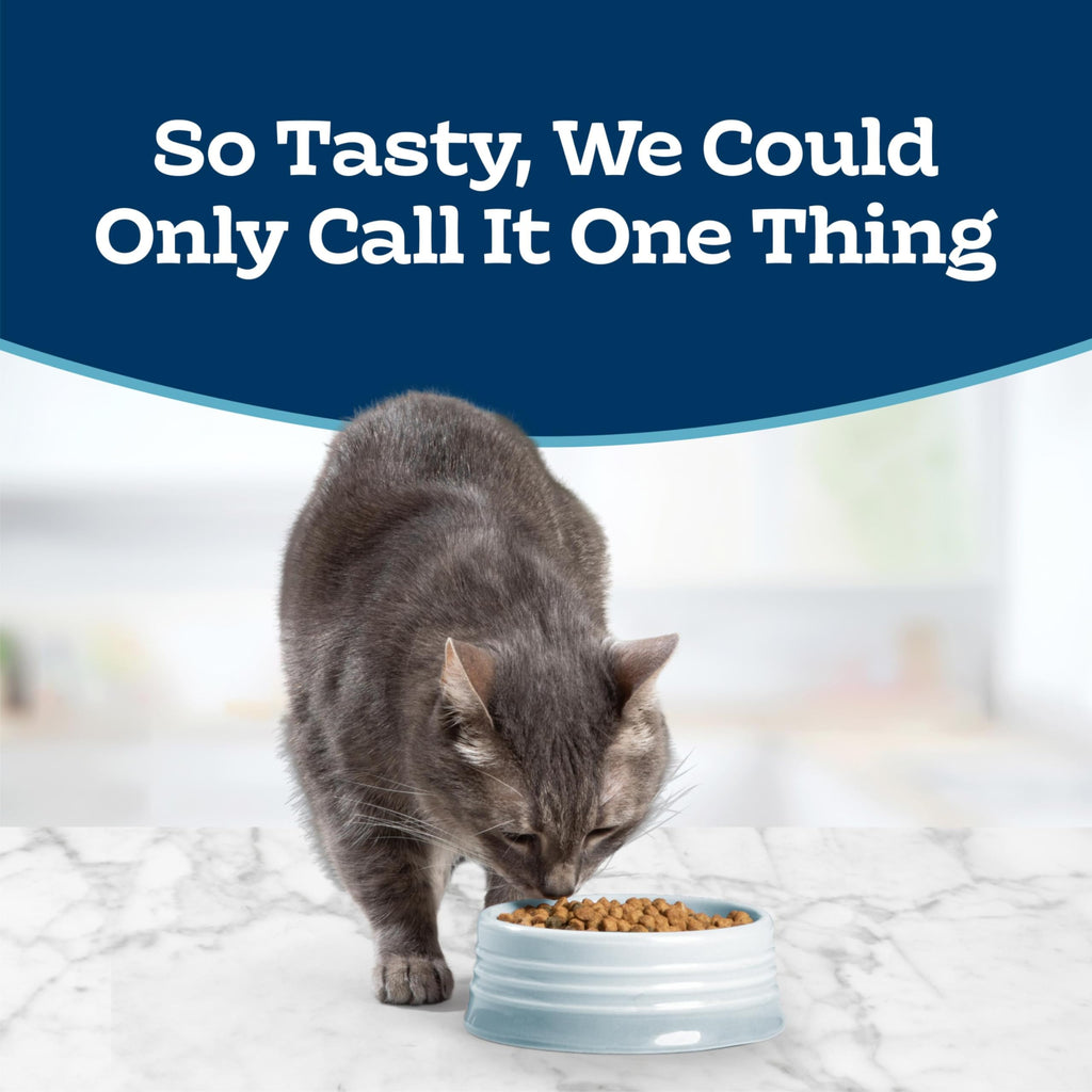 Chicken Sensitive Stomach Dry Cat Food, 3 lb Y43731