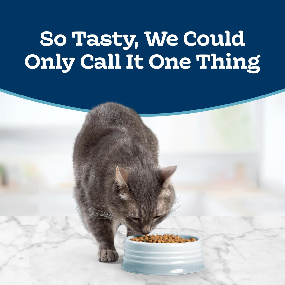 Chicken Sensitive Stomach Dry Cat Food, 3 lb Y43731