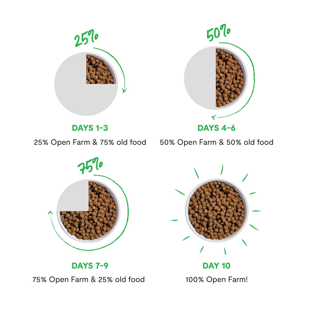 Dry Dog Food 22lb Bag N8777