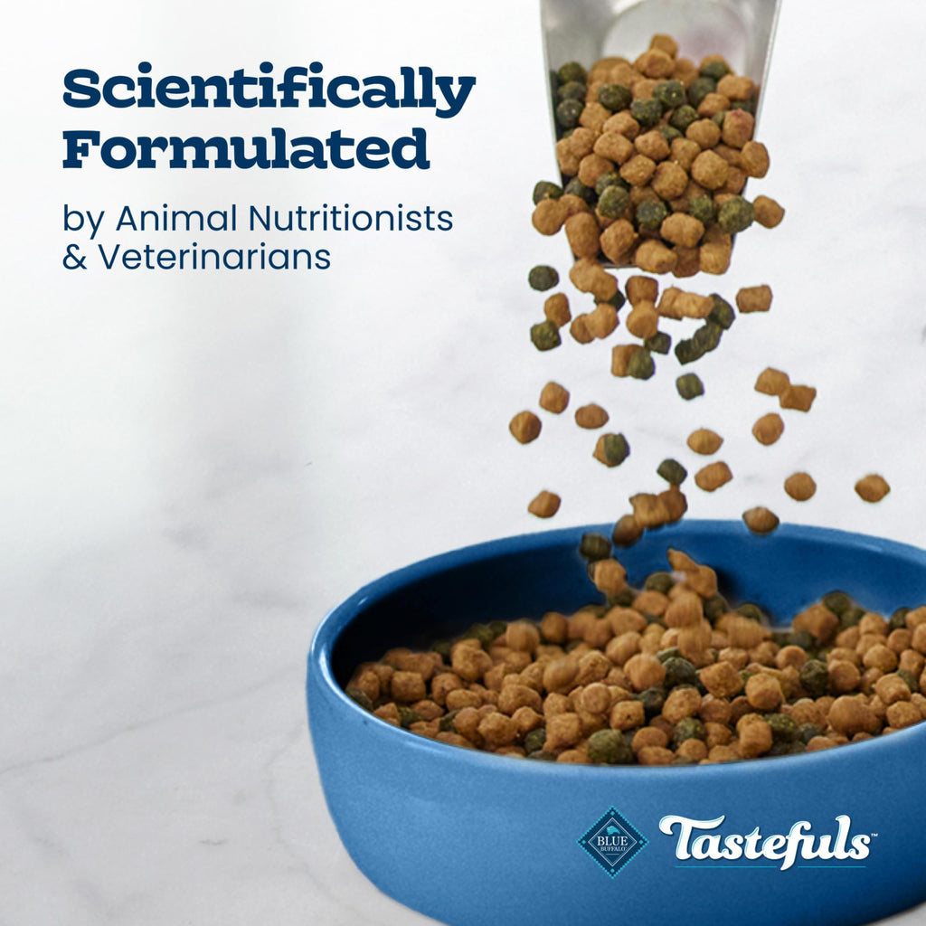 Chicken Sensitive Stomach Dry Cat Food, 3 lb Y43731
