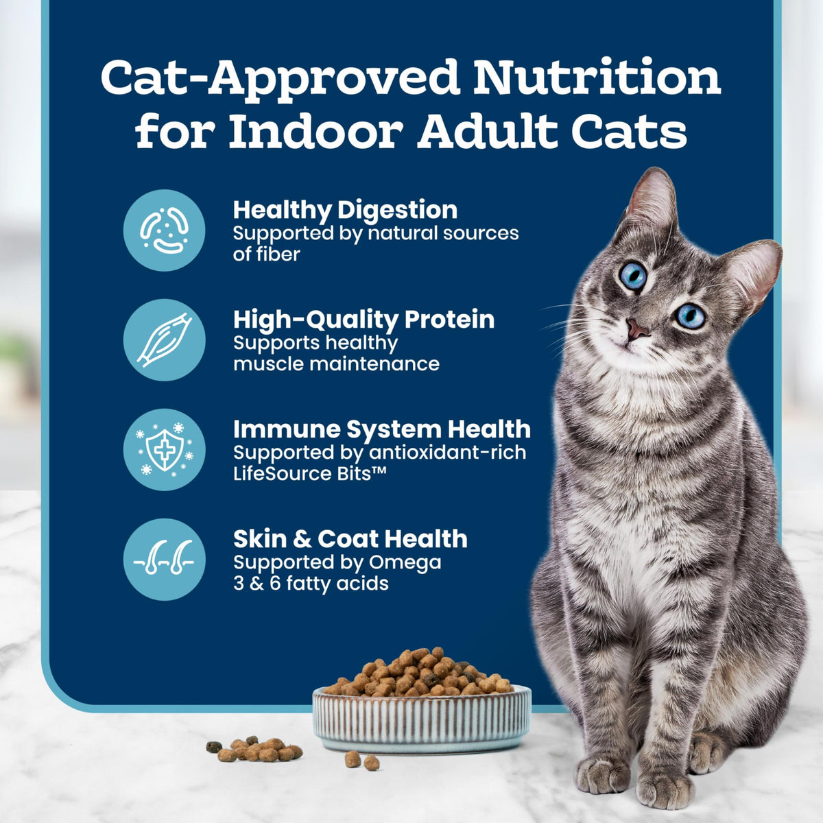 Chicken Sensitive Stomach Dry Cat Food, 3 lb Y43731