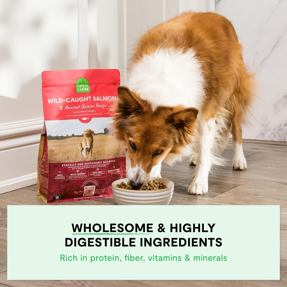 Dry Dog Food 22lb Bag N8777
